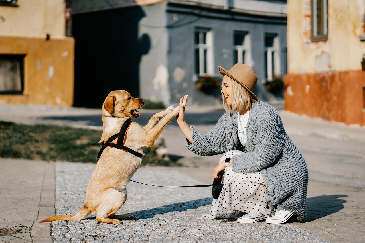 Tierschützerin sitzt mit einem geretteten Hund vor einer Tierunterkunft
