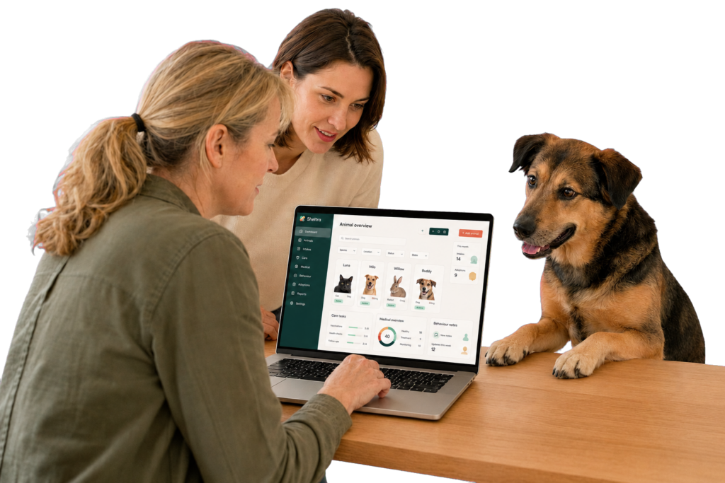Testpilot-Hund vor einem Bildschirm mit Sheltra-Software